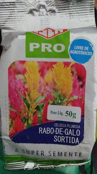 Imagem de Sementes de Celosia Plumosa Rabo de Galo 50g - Isla