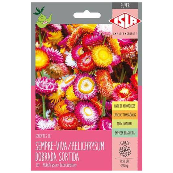 Imagem de Sementes de Helichrysum Sempre-Viva (Sortida) Super ISLA