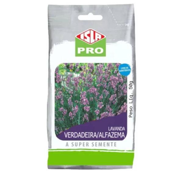 Imagem de Sementes de Lavanda Verdadeira / Alfazema (50g) ISLA