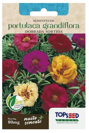 Sementes de Onze Horas (Portulaca Grandiflora) TOPSEED - Sementes -  Magazine Luiza