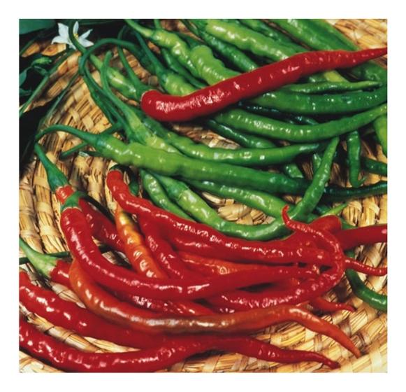 Imagem de Sementes de Pimenta Cayenne Slin Env C/ 2gr