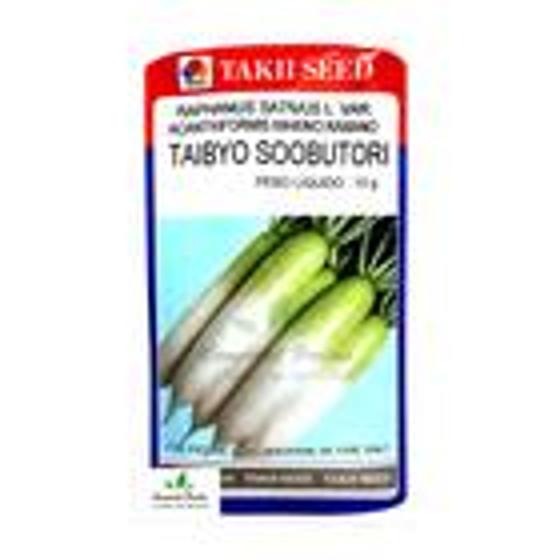 Imagem de Sementes de Rabano Híbrido Taibyo Soobutori Envelope com 10 Gramas