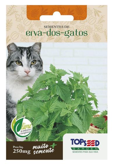 Imagem de Sementes Erva Dos Gatos (Nepeta Cataria) Catnip TOPSEED
