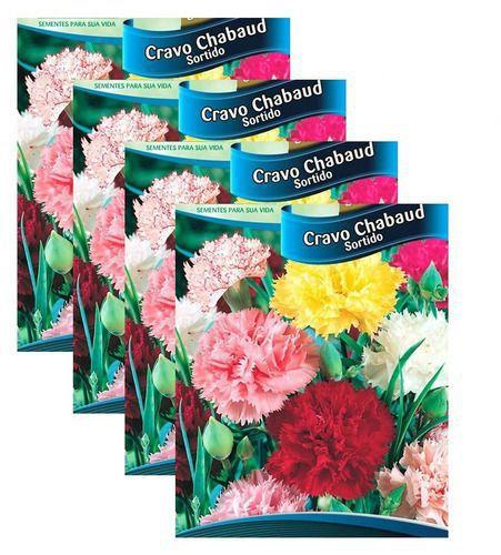 Sementes Flores Para Muda Cravo Chabaud Do Poeta - 20 Env - TOPSEED -  Sementes - Magazine Luiza