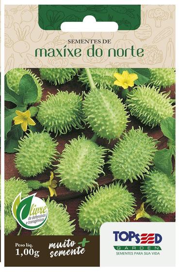Imagem de Sementes Maxixe Do Norte TOPSEED