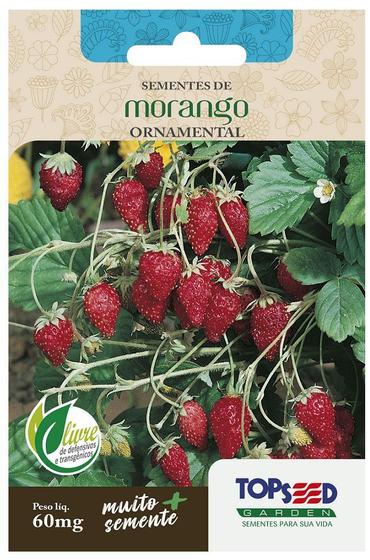 Imagem de Sementes Morango Silvestre (Ornamental) TOPSEED