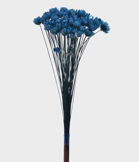 Sempre Viva Azul Grillo 35Cm - Flor e Planta Artificial - Magazine Luiza