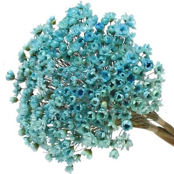 Imagem de Sempre Vivas Azul Lembrança, Decoração 600 Flores