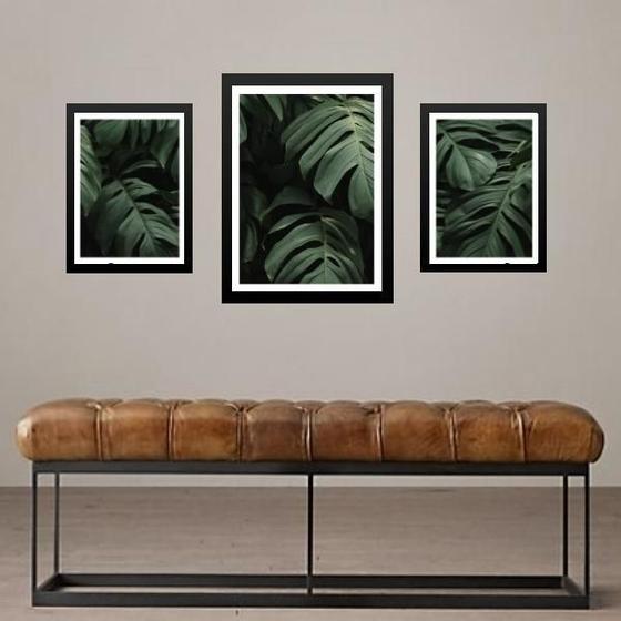 Imagem de Set 3 Quadros Folhas - Costela De Adão - Com Vidro