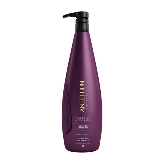 Imagem de Shampoo Aneethun Defrizante No Frizz System 1L Wetblock