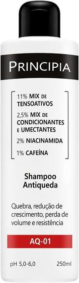 Imagem de Shampoo Antiqueda Principia AQ-01 250ml