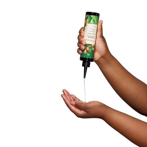 Shampoo Argan & Babosa De Benguela 240ml Imagem de Shampoo Argan & Babosa De Benguela 240ml