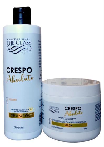 Imagem de Shampoo Crespo Absoluto - Mascara Crespo Cabelos Danificados The Class 500ml