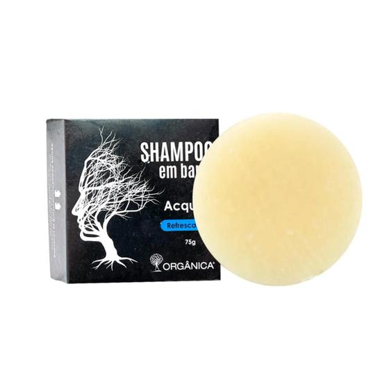 Imagem de Shampoo em barra aqcua 75g
