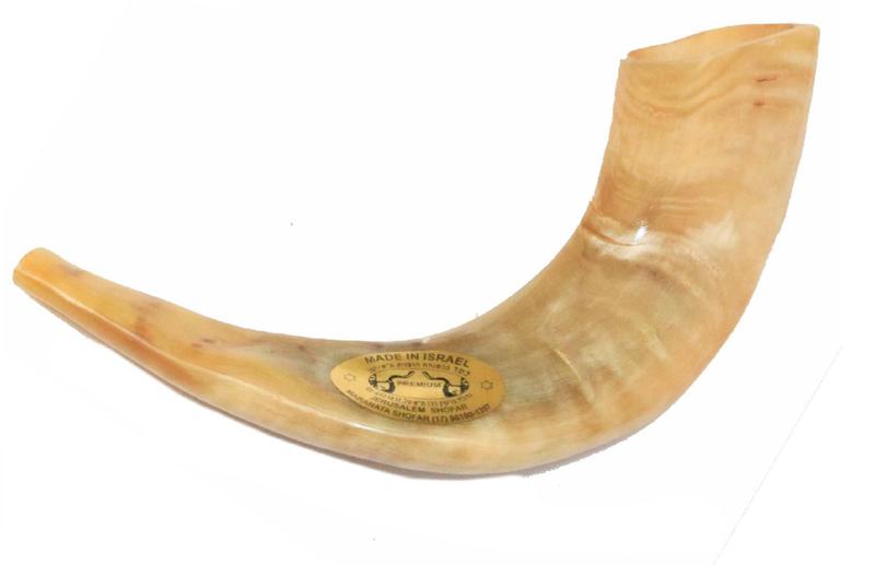 Imagem de Shofar Chifre De Carneiro De Tocar - 35 A 39 Cm - De Israel