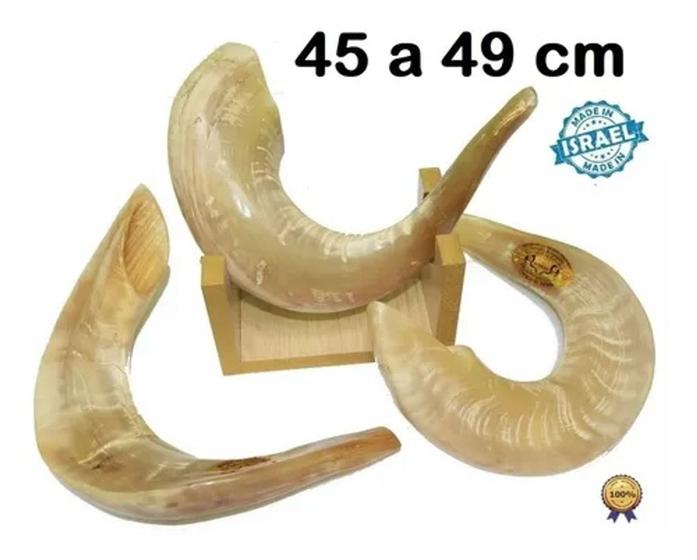 Imagem de Shofar Chifre De Carneiro De Tocar - 45 À 49 Cm + Suporte