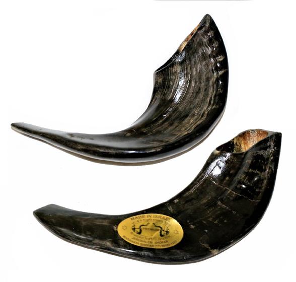 Imagem de Shofar Chifre De Carneiro De Tocar Preto 25 A 29 Cm - Israel