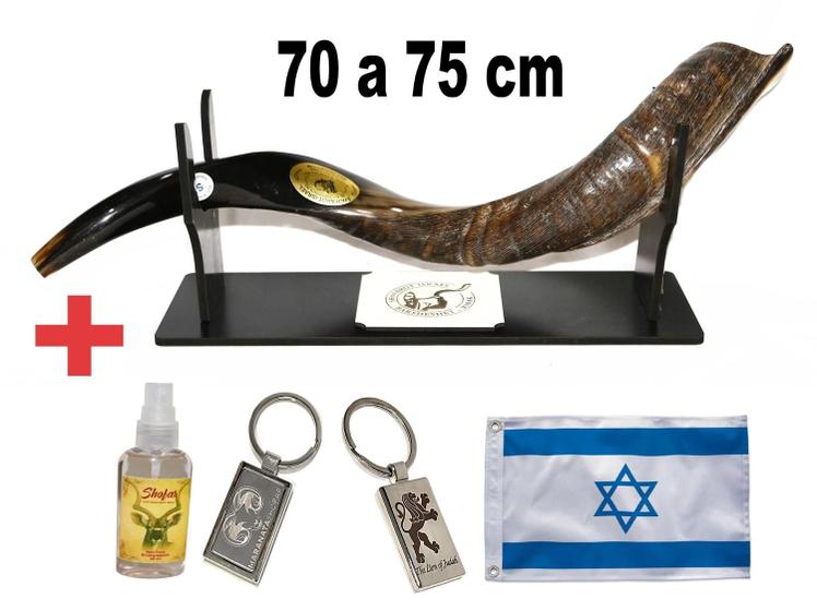 Imagem de Shofar De Chifre Antílope + suporte + bandeira - De Israel 70 a 75 cm