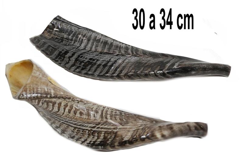 Imagem de Shofar De Chifre De Carneiro De Tocar De Israel/dark 30-34cm