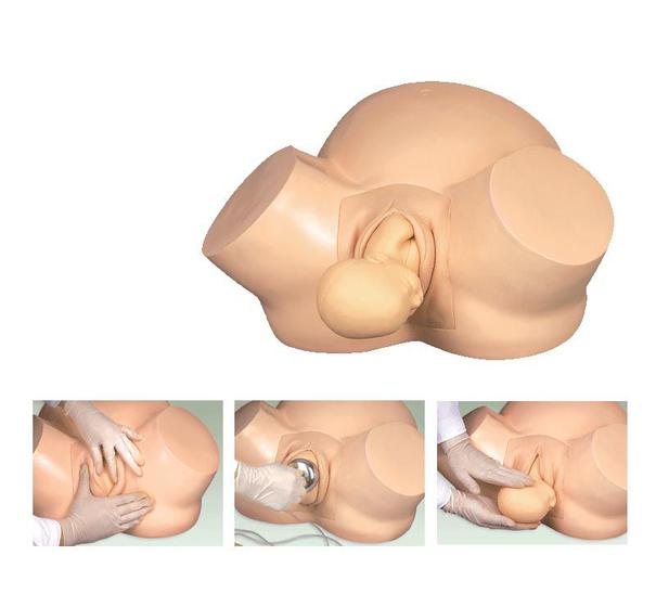 Imagem de Simulador de treinamento de obstetrícia