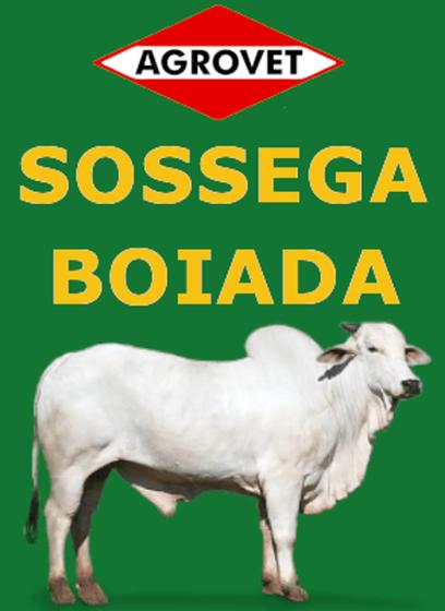 Imagem de Sossega boiada 5x1