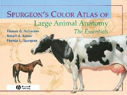 Imagem de Spurgeons color atlas of large animal anatomy - BLA - BLACKWELL (WILEY)