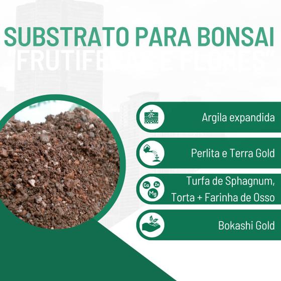 Imagem de Substrato Para Bonsai Coníferas ou Frutíferas 10 Kg - Gold Plant