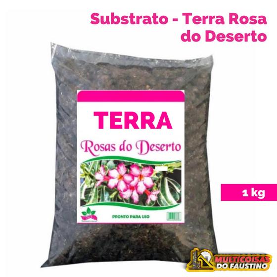 Substrato Próprio Para Terra Rosa Do Deserto 2 Kg - Adubos Lorianna -  Substrato para Plantas - Magazine Luiza