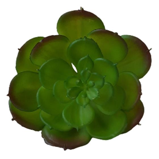 Suculenta Artificial 12 X 9Cm Verde - Flor de Seda - Flor e Planta  Artificial - Magazine Luiza