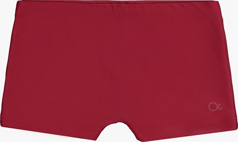 Imagem de Sunga Boxer Infantil Juvenil Ogochi Menino Verão Short de Praia 12446007