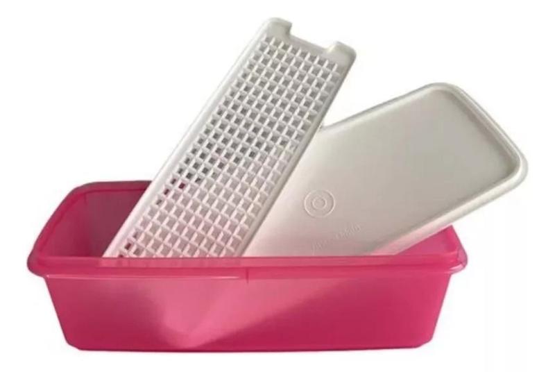 Imagem de Super Caixa Tupperware 4,3 Litros Com Grade Interna