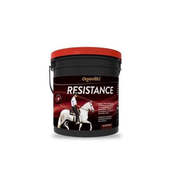 Imagem de Suplemento Vitamínico Mineral para Equinos - Resistance 40g