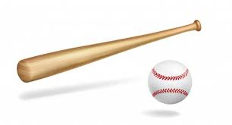 Imagem de Taco de basebol em madeira