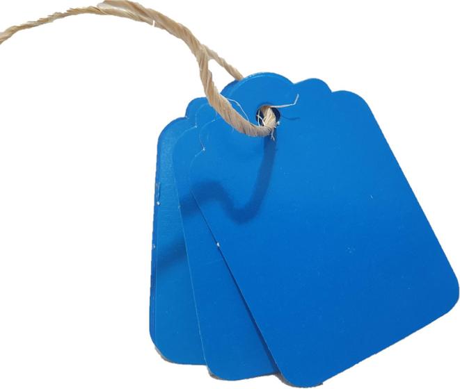 Imagem de Tag com cordão 6x4 cm 100 unidades