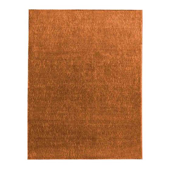 Imagem de Tapete Carpete Sala Quarto 100x150 Classic Antiderrapante Oasis
