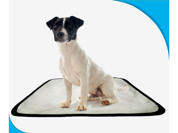 Imagem de tapete dog para cães lavável absorvente 1 un P - 50X60 cm
