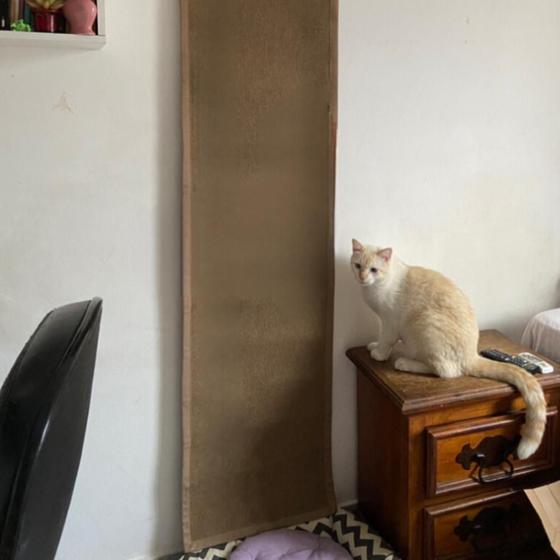Tapete Escalador Arranhador Para Gato Moveis E Paredes Fixo é ruim? Tapete Escalador Arranhador Para Gato Moveis E Paredes Fixo é boa?