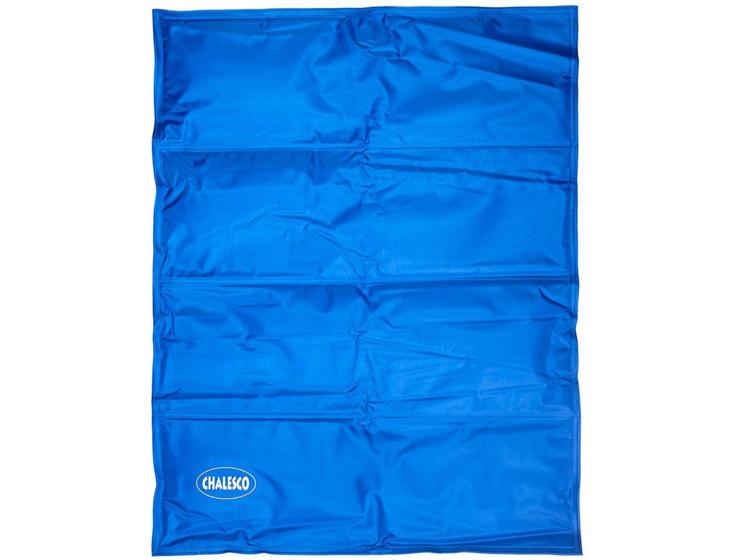 Tapete Gelado para Cachorro M 60x90cm Chalesco - Pet Cooling Mat Azul Menor preço em Tapete Gelado para Cachorro M 60x90cm Chalesco - Pet Cooling Mat Azul