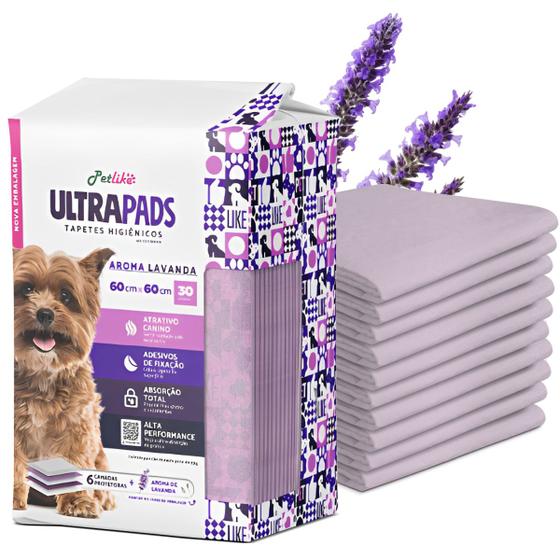 Tapete Higiênico Alta Absorção com Aroma de Lavanda para Cães Ultra Pads 80x60cm 30 und - Good Pad Imagem de Tapete Higiênico Alta Absorção com Aroma de Lavanda para Cães Ultra Pads 80x60cm 30 und