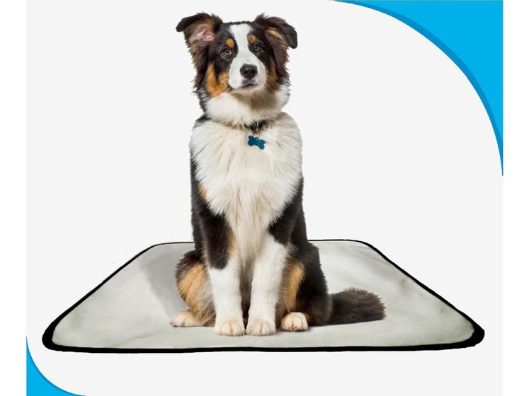 Imagem de Tapete para cães fazerem xixi educar pet 4 un G 90x100cm