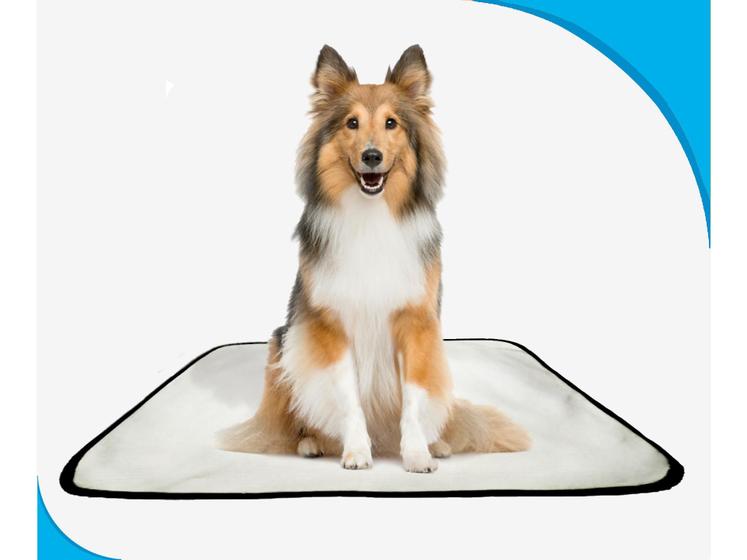 Imagem de Tapete para Pets Lavável Canino em oferta 2 un M - 60 X 80 cm