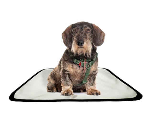 Imagem de Tapete pet impermeável educador dog oferta 1 un P 50x60cm