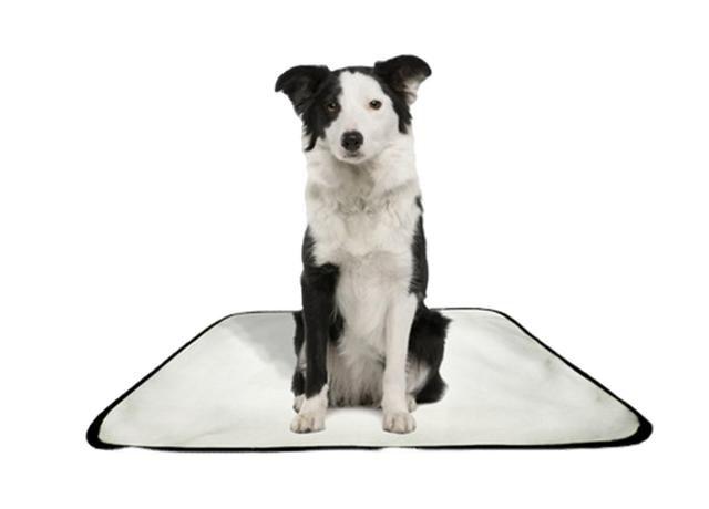 Imagem de Tapete pet impermeável educador dog oferta 2 un M1 70x100cm