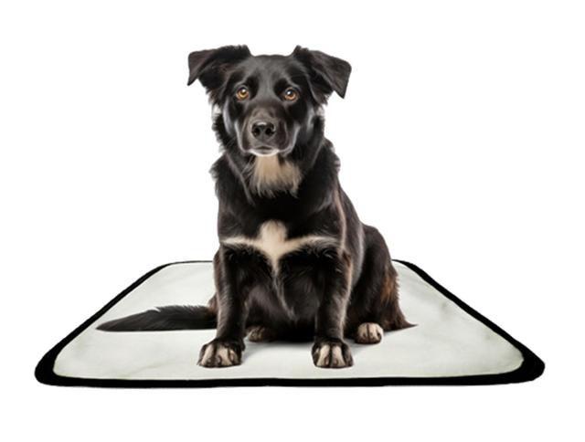 Imagem de Tapete pet reutilizável adestrador dog oferta 3 un P 50x60cm