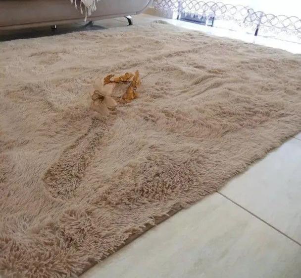 Tapete Sala e Quarto Peludo Felpudo 2,00 X 2,40 - Bege Claro Menor preço em Tapete Sala e Quarto Peludo Felpudo 2,00 X 2,40 - Bege Claro