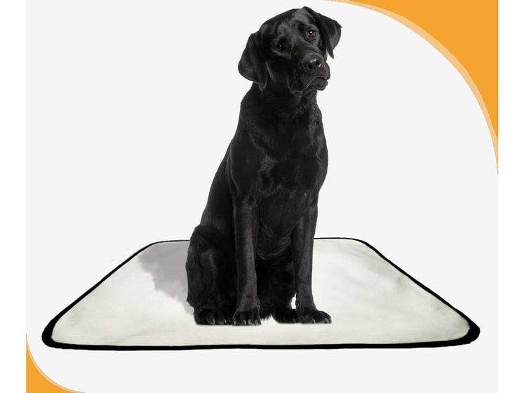 Imagem de Tapetes Higiênicos Laváveis Shelby Moda Pet 5un G 90x100cm