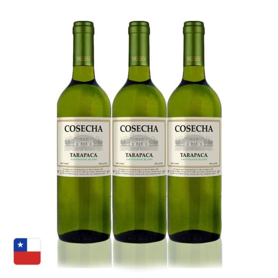 Tarapacá cosecha sauvignon blanc 750 ml c/ 3 unidades Imagem de Tarapacá cosecha sauvignon blanc 750 ml c/ 3 unidades