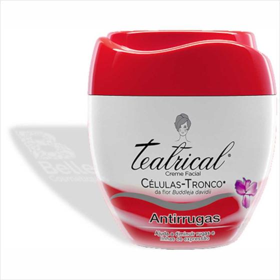 Teatrical Creme Facial 100G Menor preço em Teatrical Creme Facial 100G