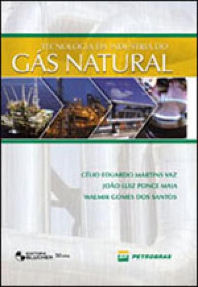 Imagem de Tecnologia da indústria do gás natural