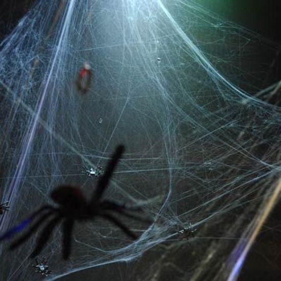 Imagem de Teia de Aranha Branca